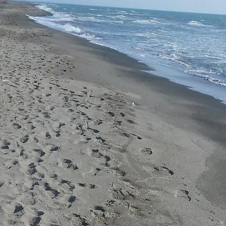 Holiday home Ccc Le Vele Ccc Montalto di Castro