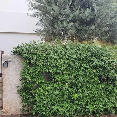 Ccc Le Vele Ccc Holiday home Montalto di Castro